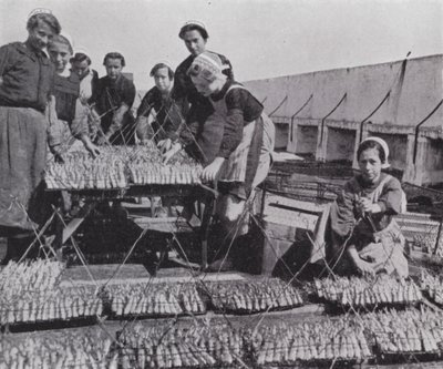 Drying sardine by European Photographer