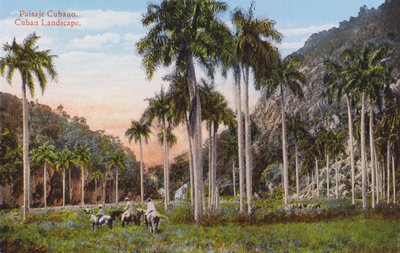 Havana, Cuba: Cuban Landscape by European Photographer