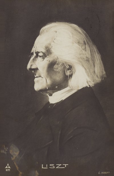 Portrait of Franz Liszt by European Photographer