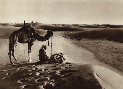 Worshipping in the Desert by European Photographer