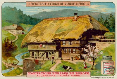 A German Country House by European School