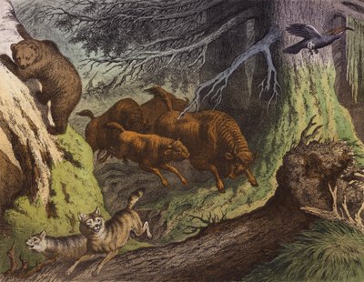 A Russian Forest, Showing the Bear, the Russian Bison and the Wolf by European School