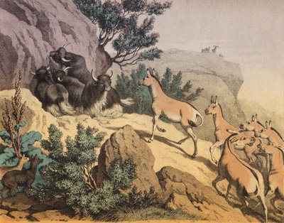 A desert in Central Asia by European School