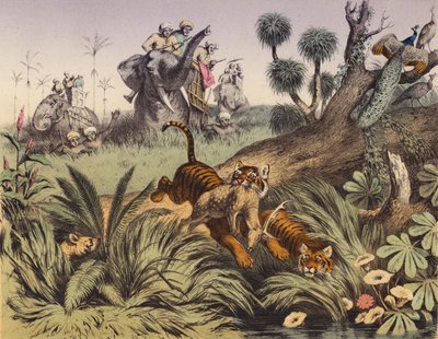 A hunt in the Indian jungle by European School
