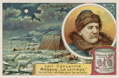 Adolf Erik Nordenskiold, Finnish-Swedish Arctic explorer by European School