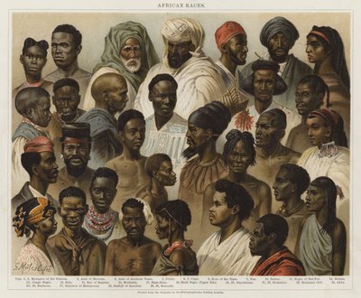 African Races by European School
