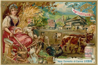 Agriculture by European School