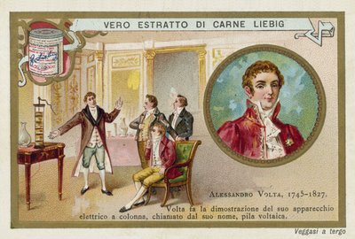 Alessandro Volta, Italian physicist by European School