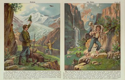Alpine scenes by European School
