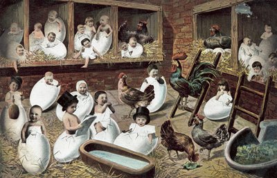 Babies Hatching from Eggs in a Hen House by European School