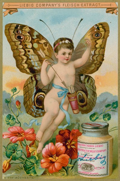 Butterfly Cherub with Red Flowers by European School