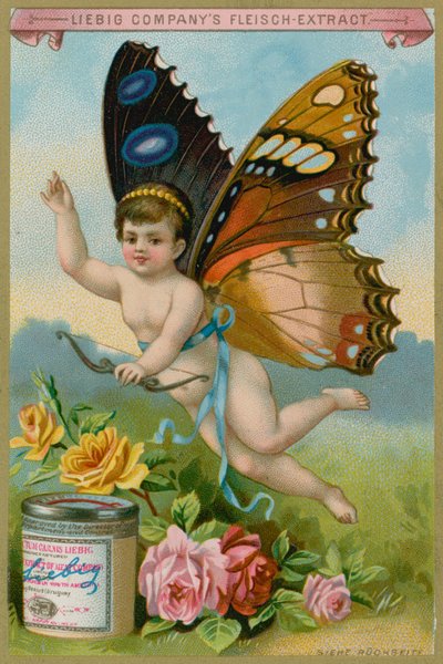Butterfly Cherub with Roses by European School
