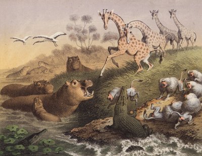 By the Nile in Nubia by European School