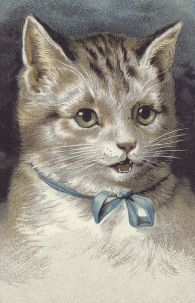 Cat with a Blue Collar by European School