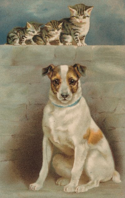 Cats Observing a Dog by European School