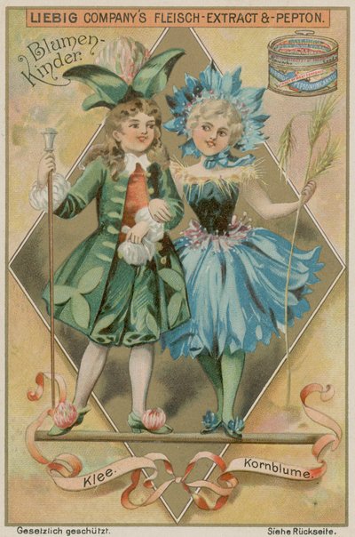 Clover and Cornflower by European School