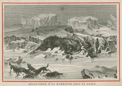 Discovery of a woolly mammoth beneath the ice by European School