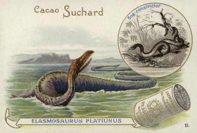 Elasmosaurus and boa constrictor by European School