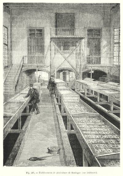 Fish Farming Establishment of Huningue, Interior View (engraving) by European School