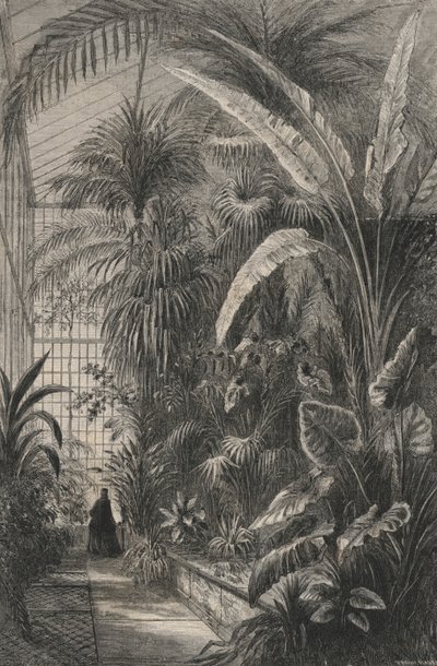 Grande Serre of the Museum of Paris by European School