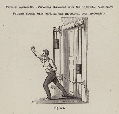 Gymnastic Apparatus by European School