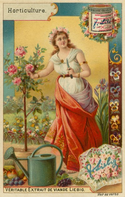 Horticulture by European School