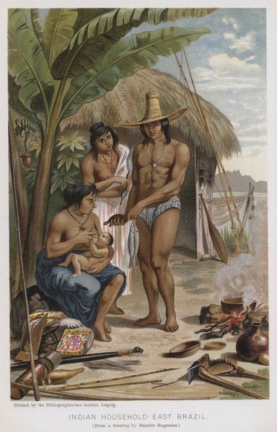 Indian Household, East Brazil by European School