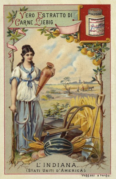 Indiana by European School