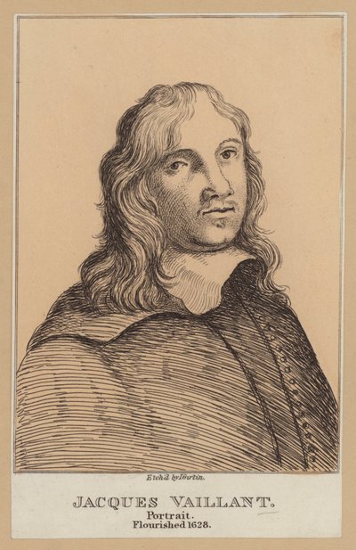 Jacques Vaillant, Dutch Painter by European School