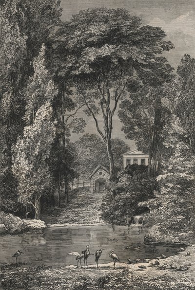 The Swiss Valley at the Jardin des Plantes, Paris by European School