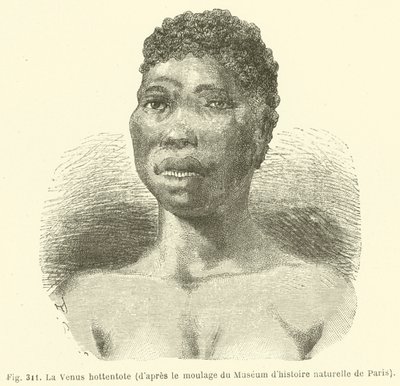 The Hottentot Venus, after the Moulding of the Natural History Museum of Paris by European School