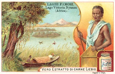 Lake Victoria, Africa by European School