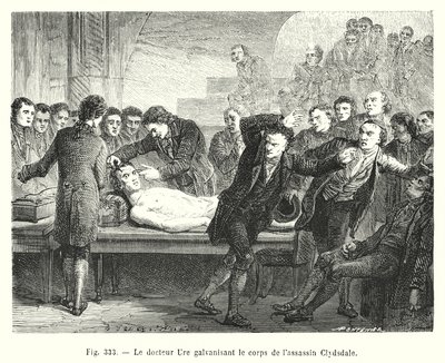 Dr. Ure Galvanizing the Body of the Assassin Clydsdale (engraving) by European School