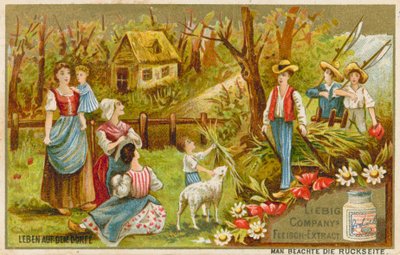 Life in the Village by European School
