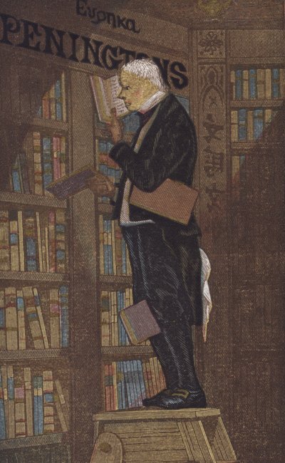 Man on top of a stepladder in a bookshop by European School