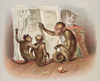 Monkey Teaching by European School