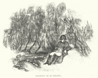 Napoleon at St Helena by European School