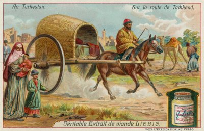 On the Road to Tashkent in Uzbekistan by European School