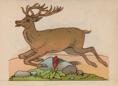 Page from the Magical Book by European School