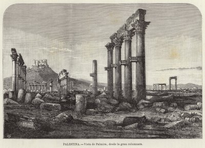 Palestine, View of Palmyra, from the Great Colonnade by European School