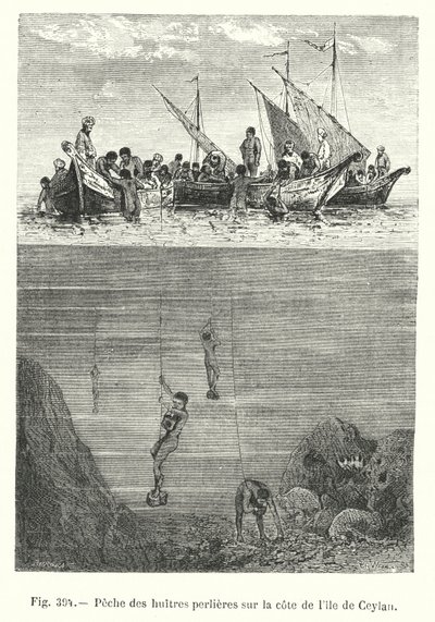 Pearl Oyster Fishing on the Coast of Ceylon (engraving) by European School