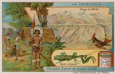 Plateau of Mirida with Hummingbird and Praying Mantis and Wayu Indians by European School