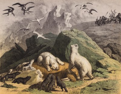 Polar Bears of Northern Siberia Feasting on a Dead Walrus by European School