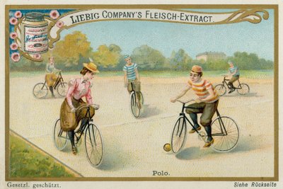 Polo by European School