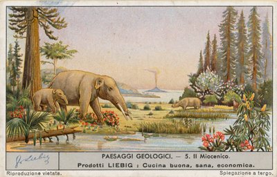 Prehistoric World by European School