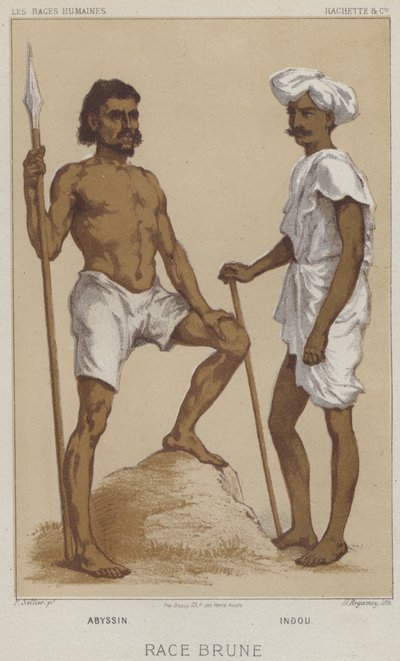 Brown Race, Abyssinian, Indian by European School