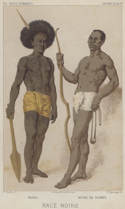 Black Race, Papuan, Black of Guinea by European School