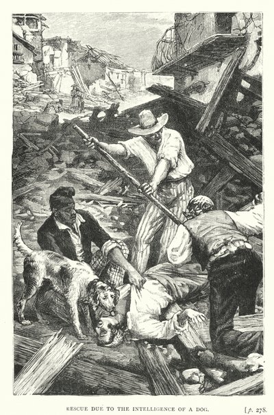 Rescue Due to the Intelligence of a Dog by European School