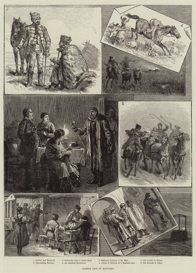 Robber Life in Hungary by European School