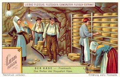 Roquefort cheeses maturing in France by European School